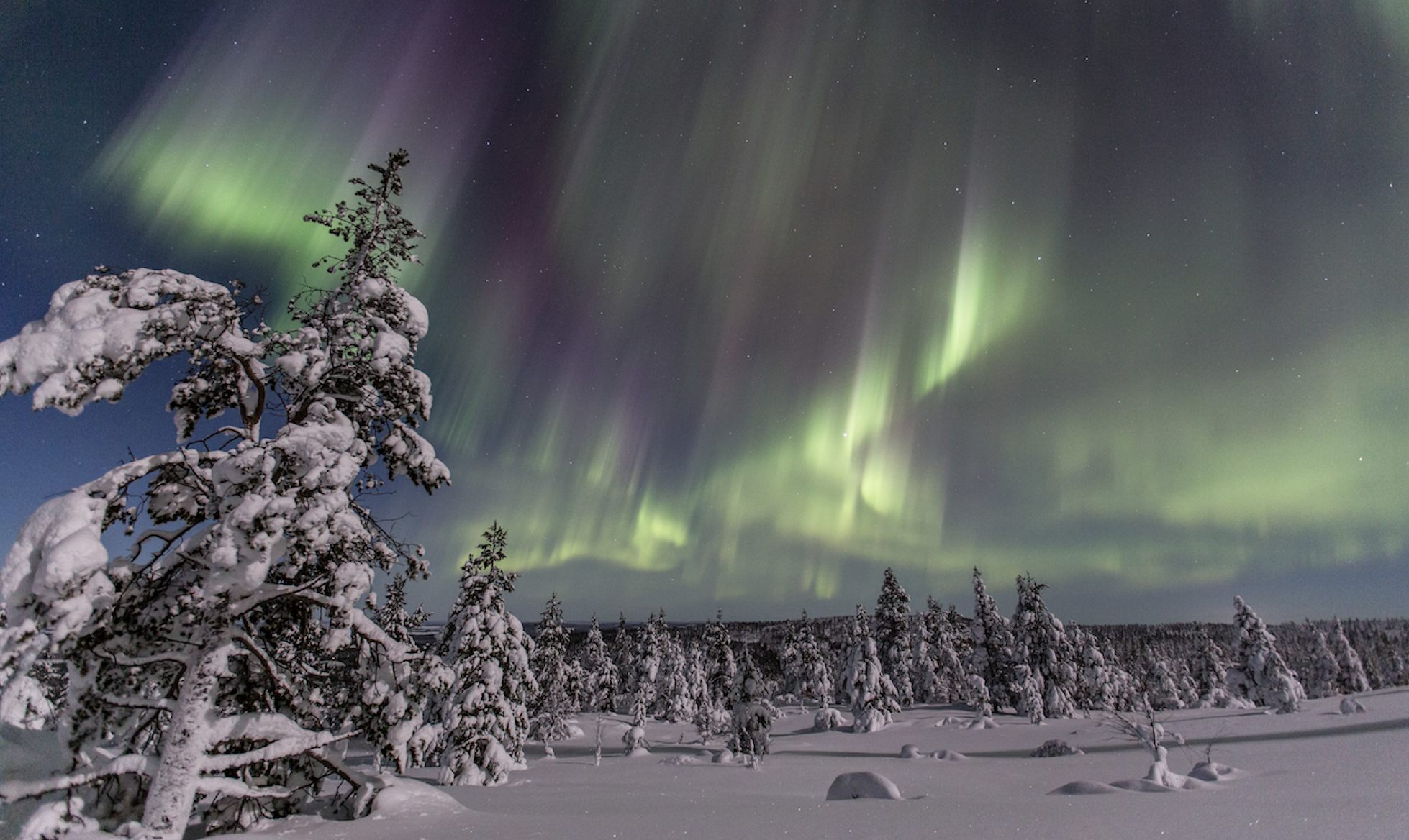 UK Lapland Natural Luxury - Business Finland